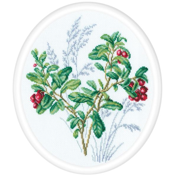 Набор для вышивания РТО "Брусника" M941