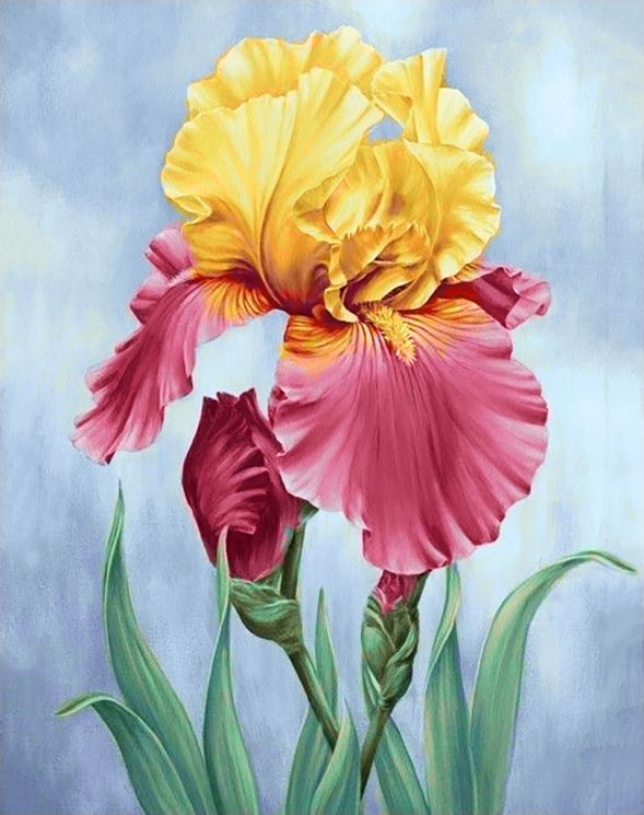 Ag 378 Алмазная мозаика Гранни "Цветущий ирис"