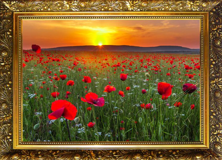  Алмазная мозаика Милато "Маковое поле" NR-3