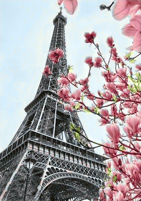 Алмазная мозаика Гранни "Символ Парижа" Ag 055 