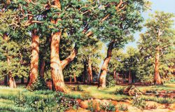 B476 Набор для вышивания Luca-S "Дубовая роща" по картине Шишкина