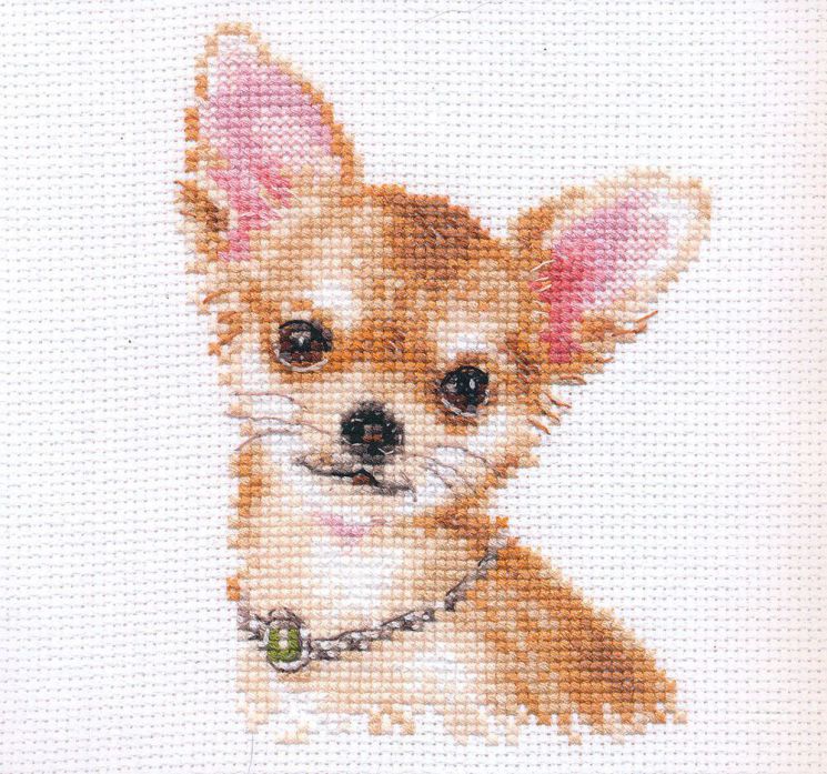 1-30 Набор для вышивания Алиса "Чихуахуа" 15х18 см